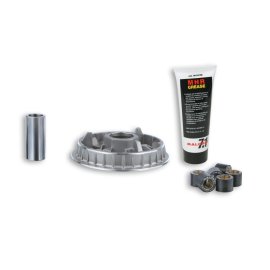 VARIADOR MALOSSI MULTIVAR HONDA FORZA X 250 F 4T|Producto original garantizado