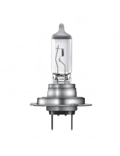 brehma 90163 10 X H/CLASSIC 12 V 55 W lampada alogena standard 