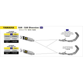 Imagen de SILENCIOSO ARROW YAMAHA XJ6 -09-10 / XJ6 DIVERSION (71761PK)