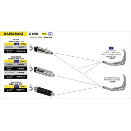 Imagen de ESCAPE ARROW KAWASAKI Z650 17 RACE-TECH ALUMINI (71854AKN)