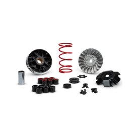 Imagen de MULTIVAR YAMAHA-MINARELLI MHR (5112800)