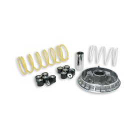 Imagen de MULTIVAR 2000 var.HON.PANTHEON 125-150 (5111261)