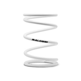 Imagen de MUELLE DE POLEA CONDUCIDA BLANCO Ø ext.71x129mm Ø hilo 6mm 11,5k (2912772.W0)